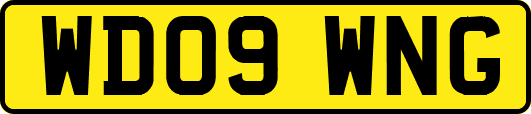 WD09WNG
