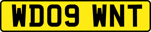 WD09WNT