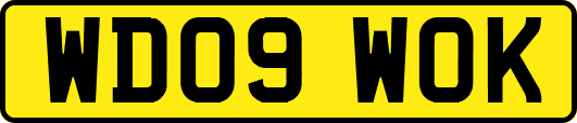 WD09WOK