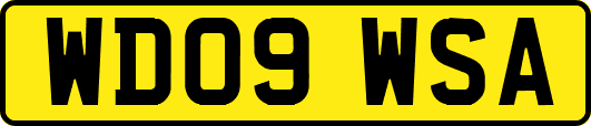 WD09WSA