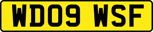 WD09WSF