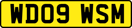 WD09WSM