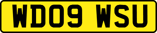 WD09WSU
