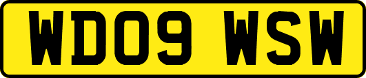 WD09WSW