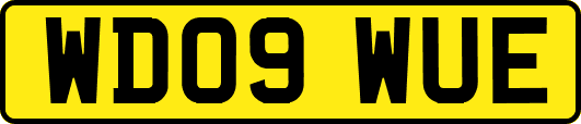 WD09WUE