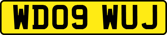 WD09WUJ
