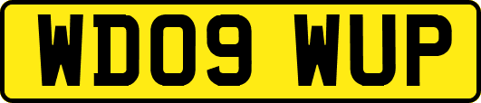WD09WUP