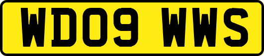 WD09WWS