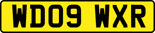 WD09WXR