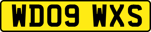 WD09WXS