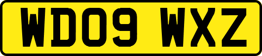 WD09WXZ