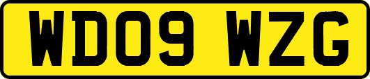 WD09WZG