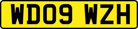 WD09WZH