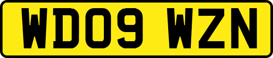 WD09WZN