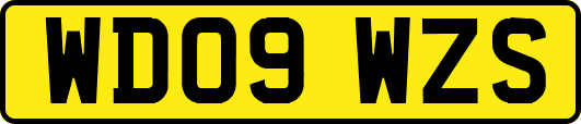 WD09WZS