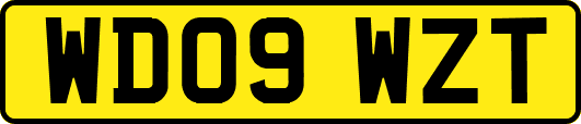 WD09WZT