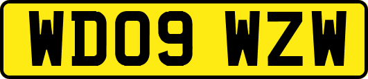 WD09WZW