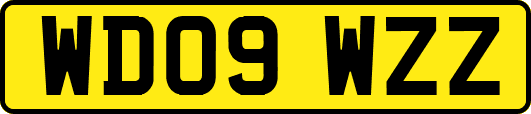 WD09WZZ