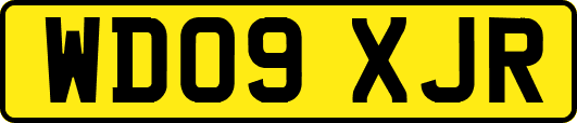 WD09XJR