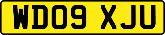 WD09XJU