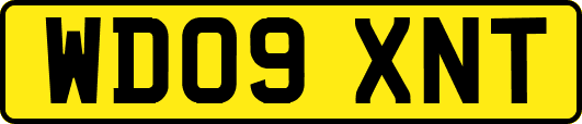 WD09XNT