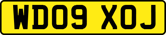WD09XOJ