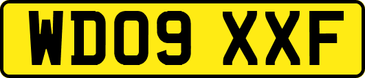 WD09XXF