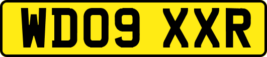 WD09XXR