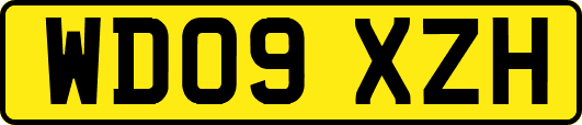 WD09XZH