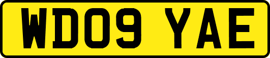 WD09YAE