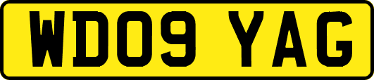 WD09YAG