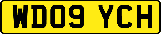 WD09YCH