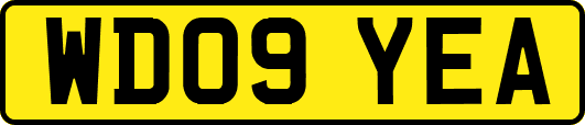 WD09YEA