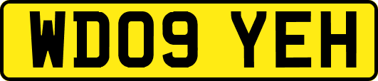 WD09YEH