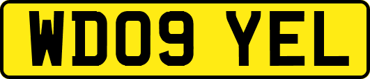 WD09YEL