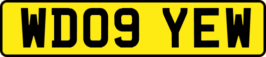 WD09YEW