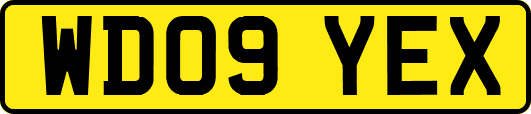 WD09YEX