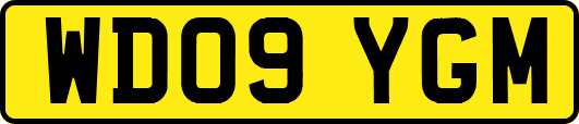 WD09YGM