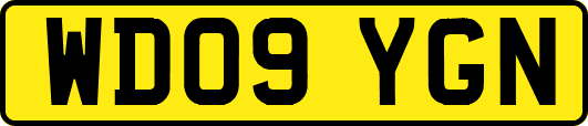 WD09YGN
