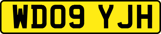 WD09YJH