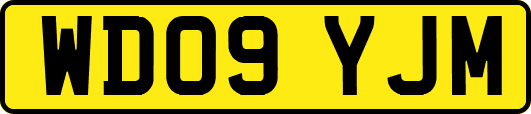 WD09YJM