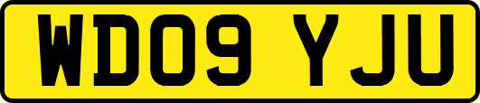 WD09YJU