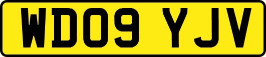 WD09YJV