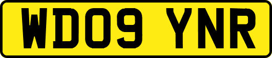 WD09YNR