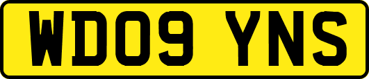 WD09YNS