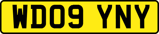 WD09YNY