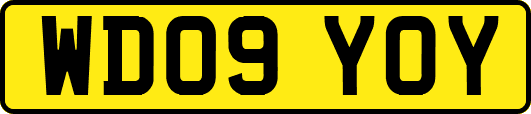 WD09YOY