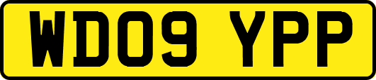 WD09YPP