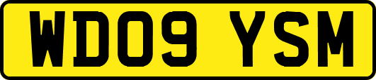 WD09YSM