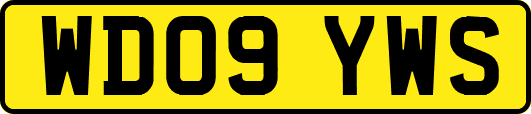 WD09YWS